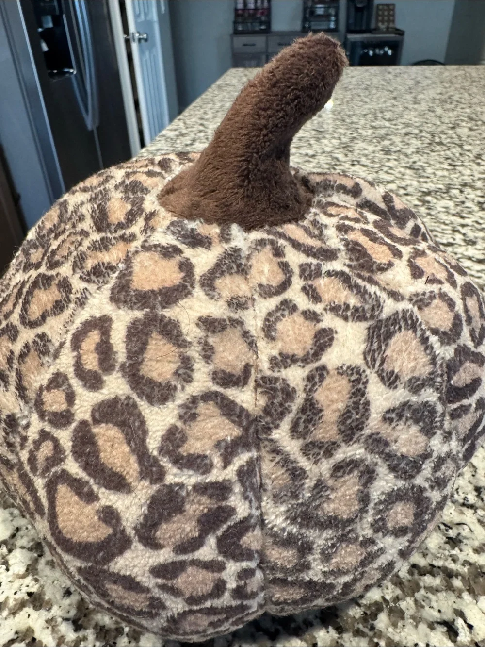 Leopard Print Pumpkin